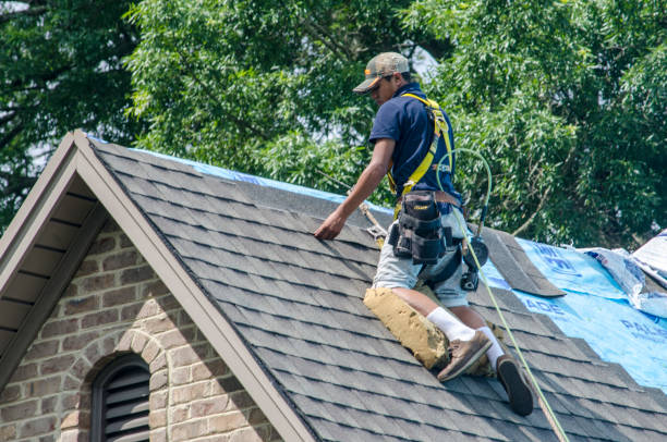 Best Roof Gutter Cleaning  in Lancaster, OH